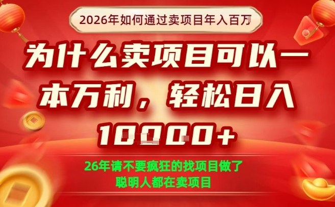 一单净利润1K+，26年想年入100个W，死磕卖项目就够了【揭秘】| 网创圈
