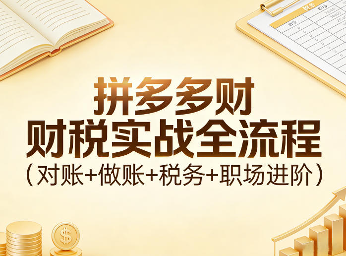 拼多多财税实战全流程(对账+做账+税务+职场进阶)| 网创圈