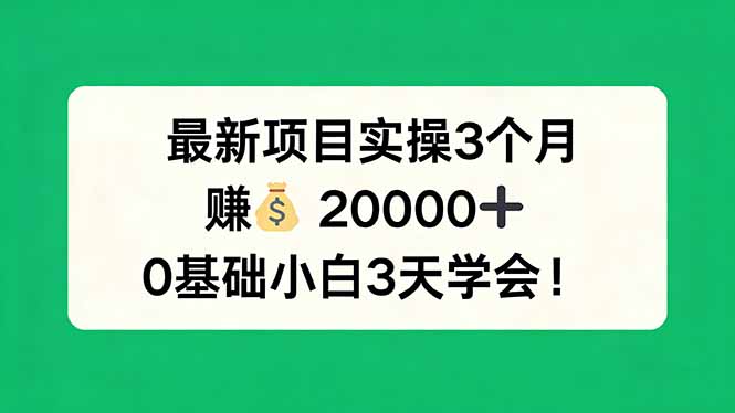 最新项目实操3个月，赚钱20000+，0基础小白3天学会！| 网创圈