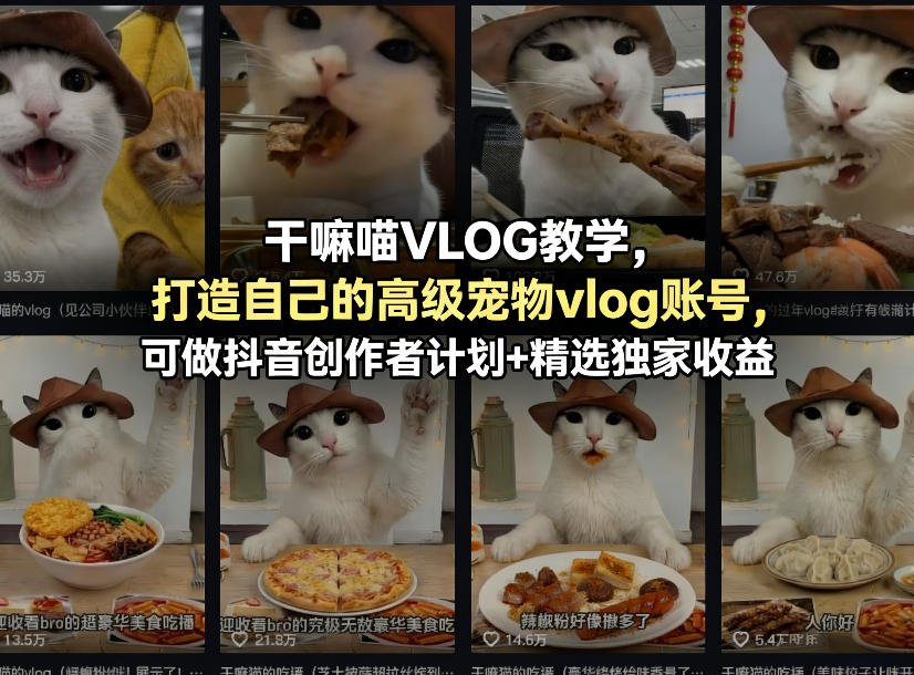 干嘛喵VLOG教学，打造自己的高级宠物vlog账号，可做抖音创作者计划+精选独家收益| 网创圈
