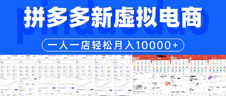 拼多多虚拟电商一人一店轻松月入10000+| 网创圈