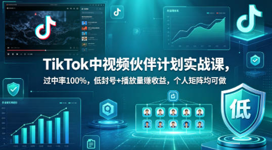 TikTok中视频伙伴计划实战课，过中率100%，低封号+播放量賺收益，个人矩阵均可做| 网创圈