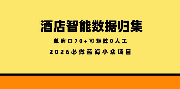 酒店智能数据归集，小众蓝海已经稳定半年之久，单窗口70+零成本矩阵开干【揭秘】| 网创圈
