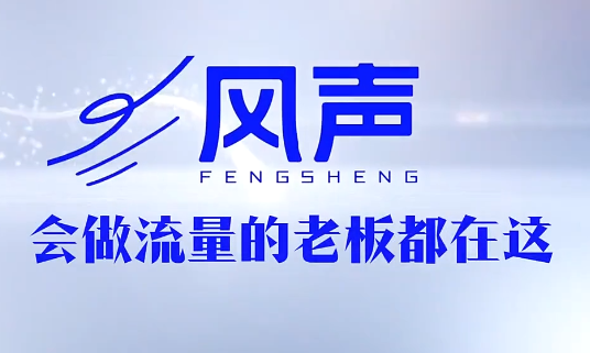 董十一·风声短视频AI获客年度会员| 网创圈