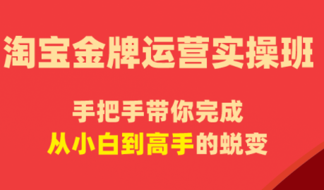 飓风电商·淘宝金牌运营实操班| 网创圈