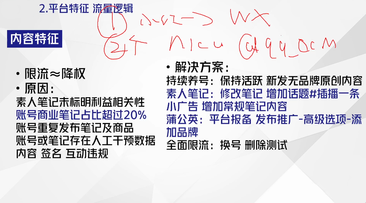 尼采老师·小红书爆单系列课| 网创圈