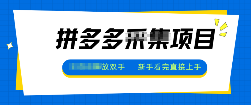 拼多多电商采集，一小时50+，操作简单，零投资| 网创圈