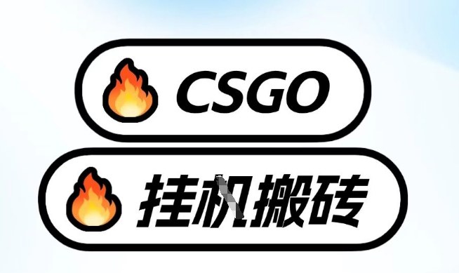 真全网独家CSGO挂G，最新玩法,单日捡漏1K+，不用电脑，不用打游戏【揭秘】| 网创圈